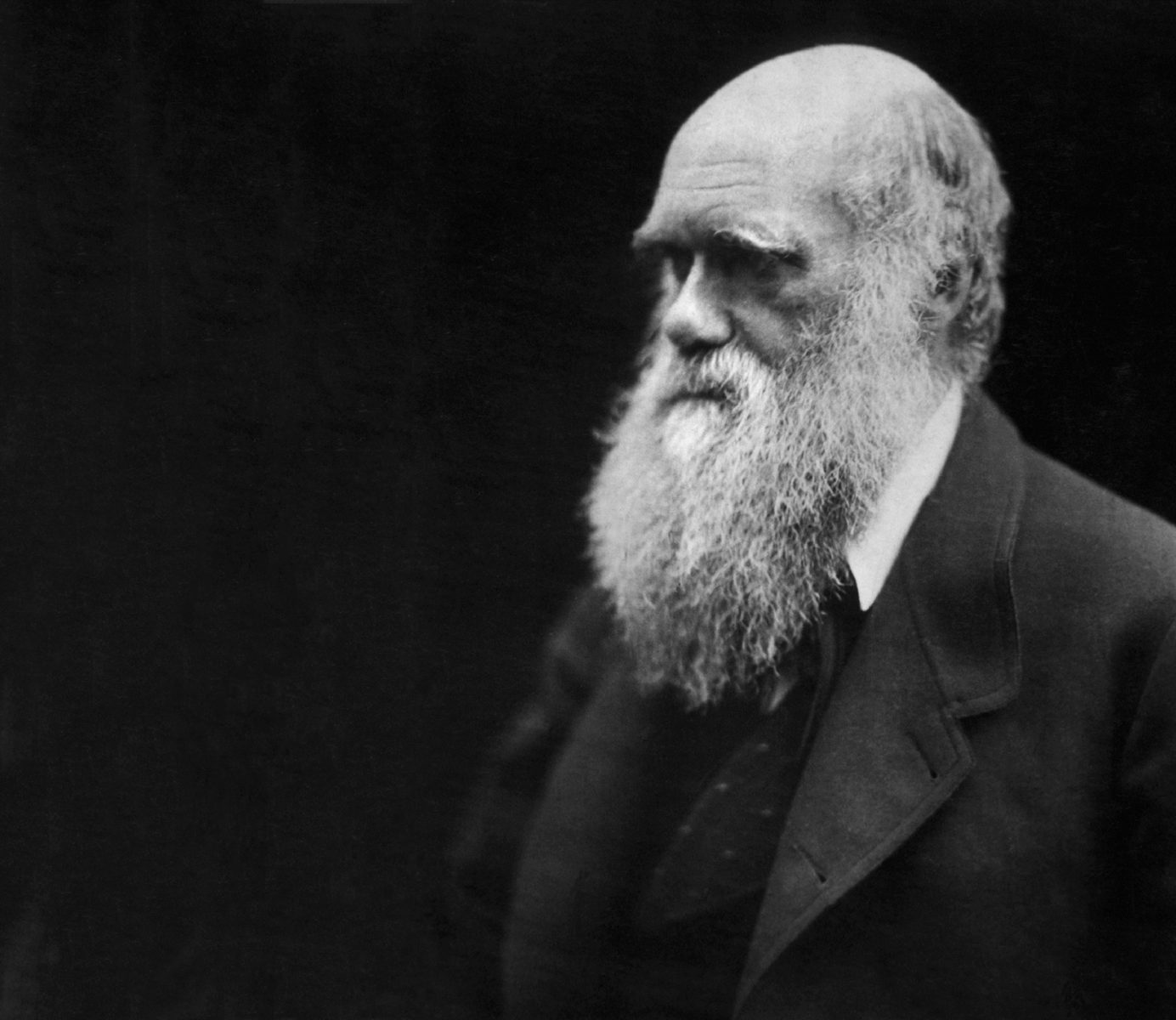 «День эволюции» в Дарвиновском музее – события на сайте «Московские Сезоны»