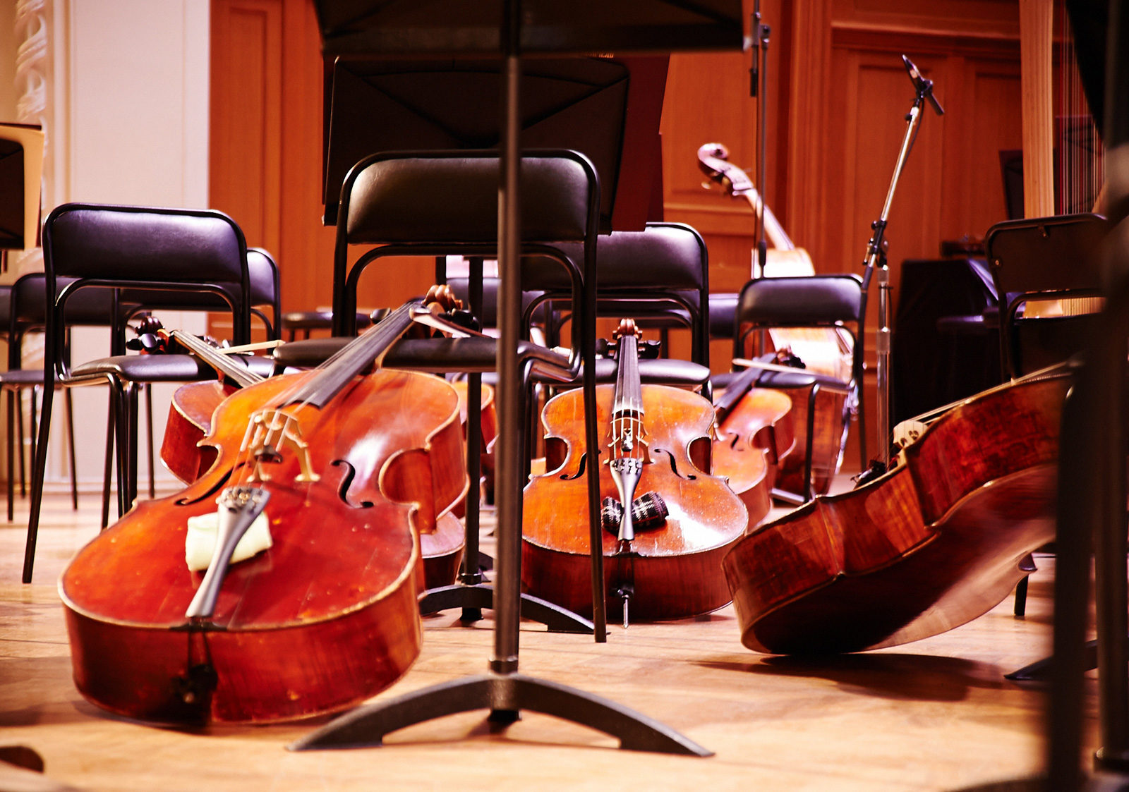 Концерт классической музыки для малышей в библиотеке № 252 – события на сайте «Московские Сезоны»