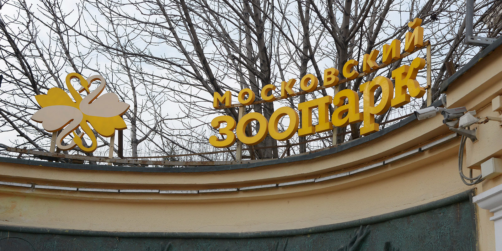 «В поисках морских млекопитающих» в Московском зоопарке – события на сайте «Московские Сезоны»