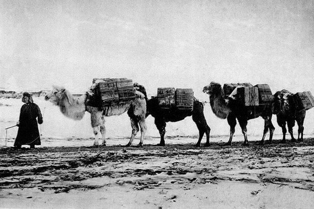 Лекция-встреча «Дао чая. Чайная Ирины Чичкиной» – события на сайте «Московские Сезоны»