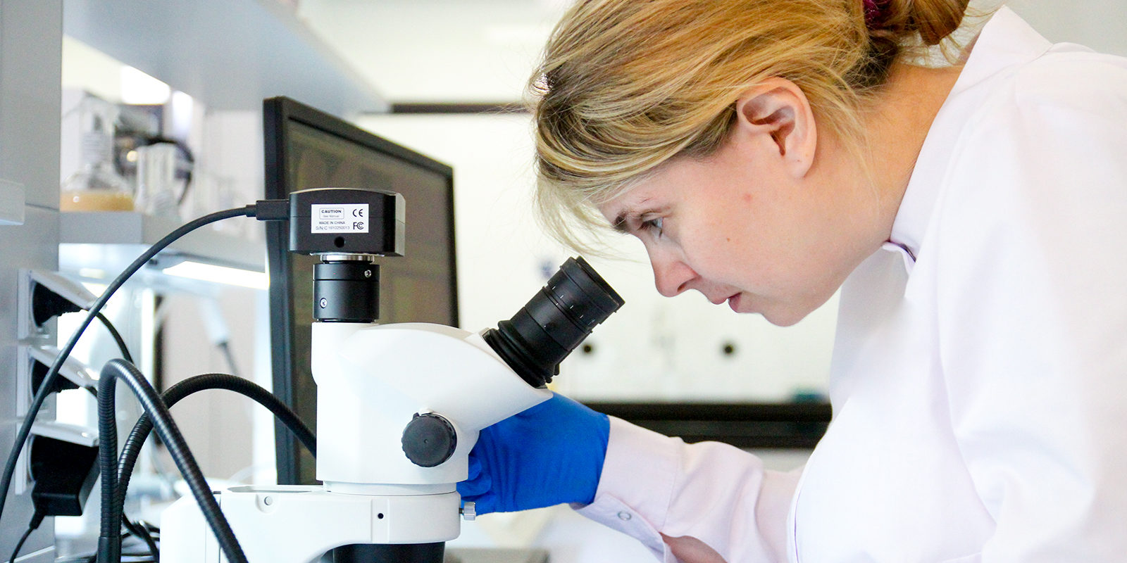 CRISPR/Cas: как и зачем редактировать геномы – события на сайте «Московские Сезоны»