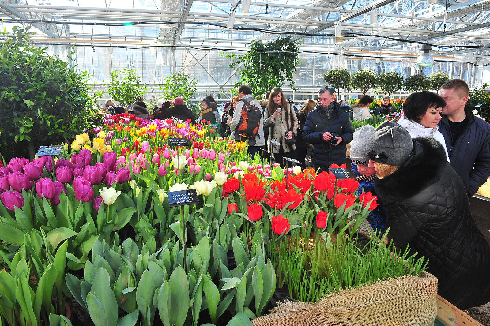 «Репетиция весны» в «Аптекарском огороде» – события на сайте «Московские Сезоны»
