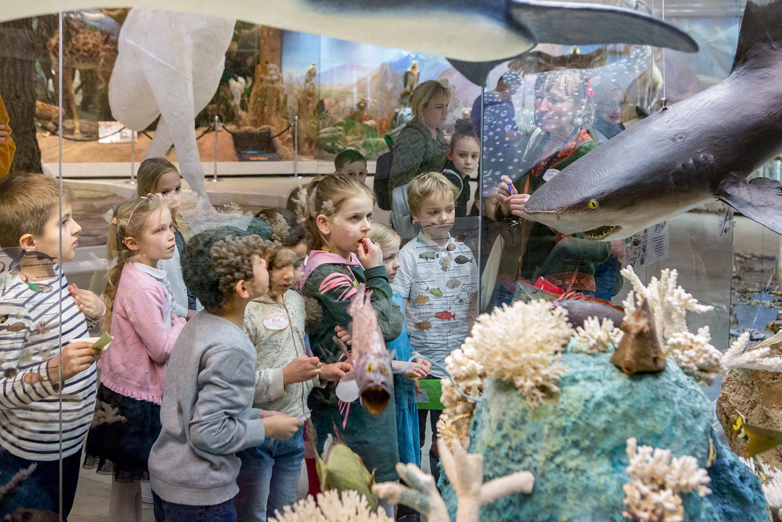 День защитника Отечества в Дарвиновском музее – события на сайте «Московские Сезоны»