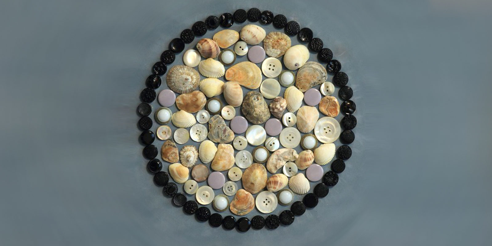 «Под знаком пуговицы» в Государственном Дарвиновском музее – события на сайте «Московские Сезоны»