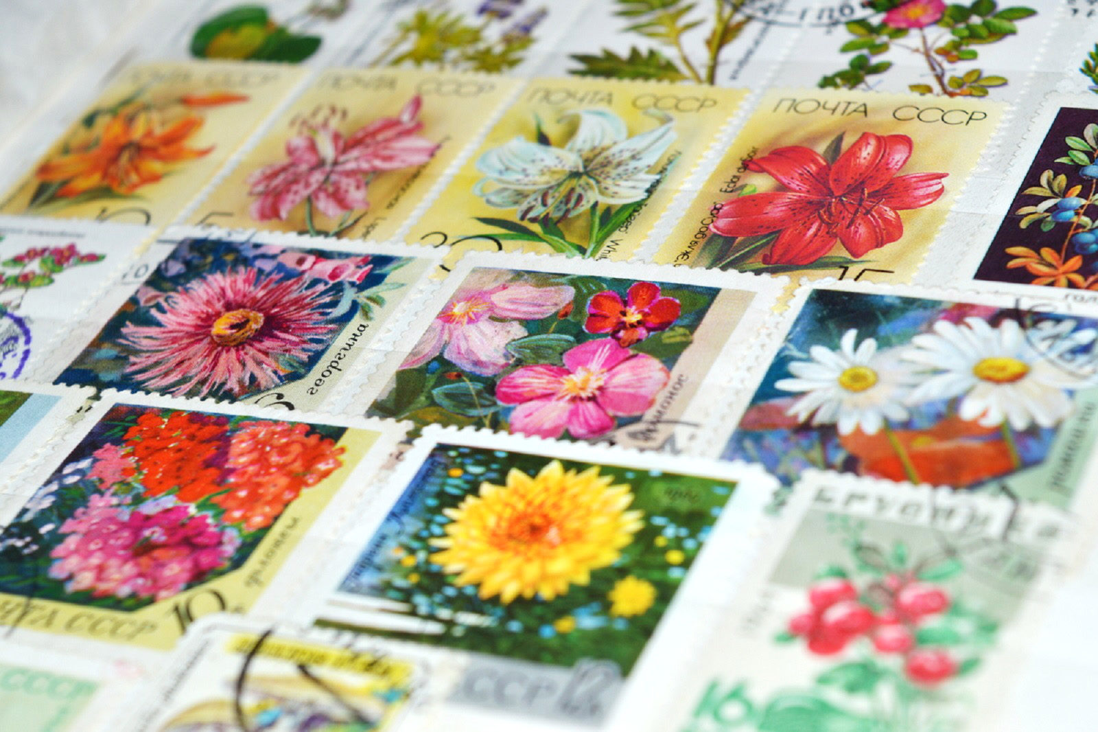 «Искусство — почтой» в галерее-мастерской «Варшавка» – события на сайте «Московские Сезоны»