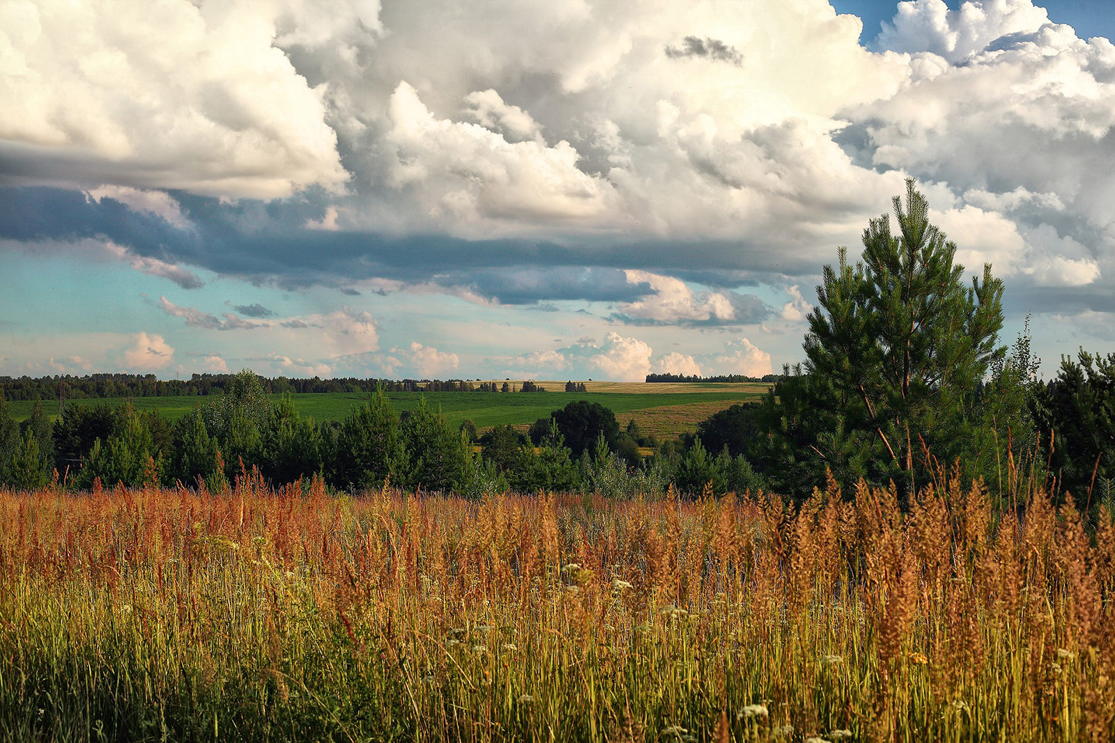 «Рулим в Удмуртию» в центральной библиотеке № 21 – события на сайте «Московские Сезоны»