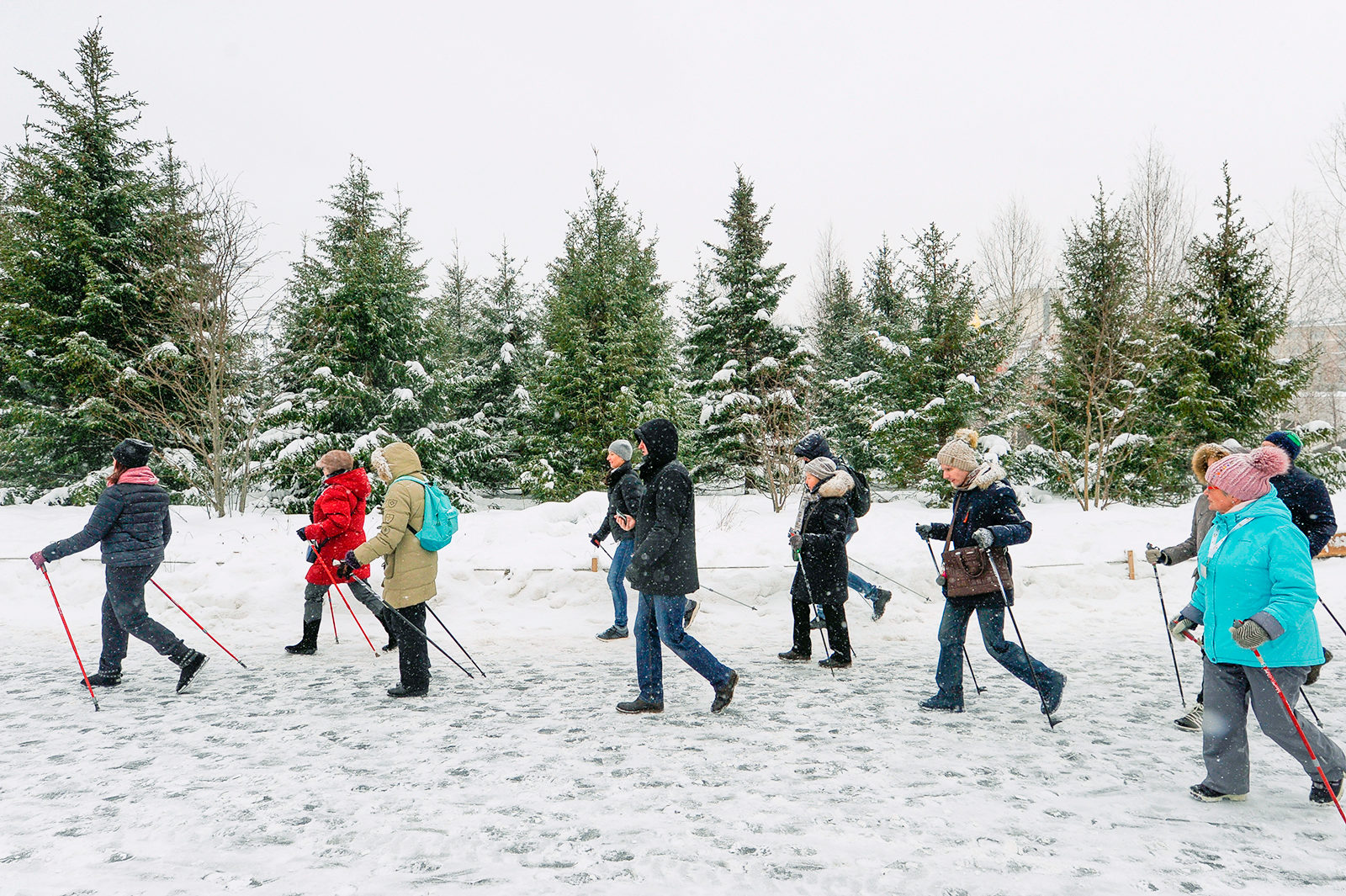 Лекция о скандинавской ходьбе в ландшафтном парке «Митино» – события на сайте «Московские Сезоны»
