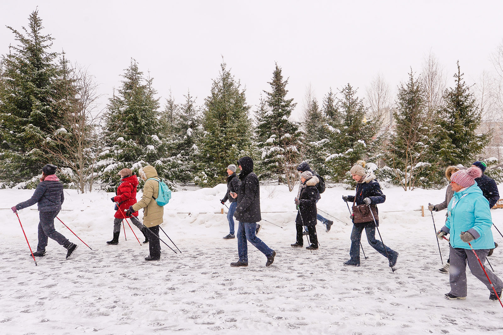 День семьи в ландшафтном парке «Митино» – события на сайте «Московские Сезоны»
