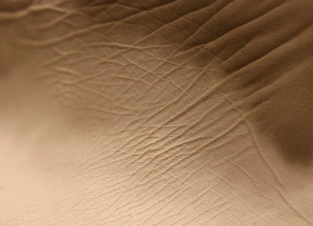 Занятие «Мир вокруг нас» – события на сайте «Московские Сезоны»