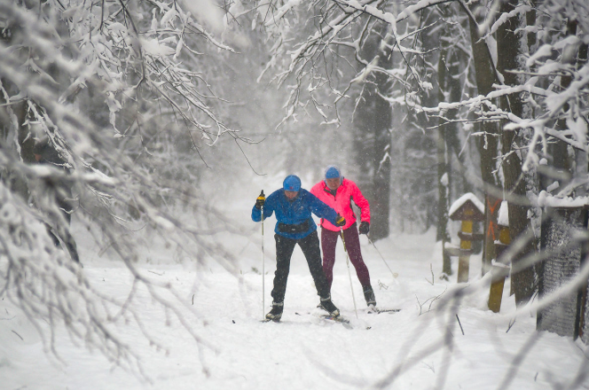 Массовое спортивное мероприятие «Ватутинская лыжня-2019» – события на сайте «Московские Сезоны»