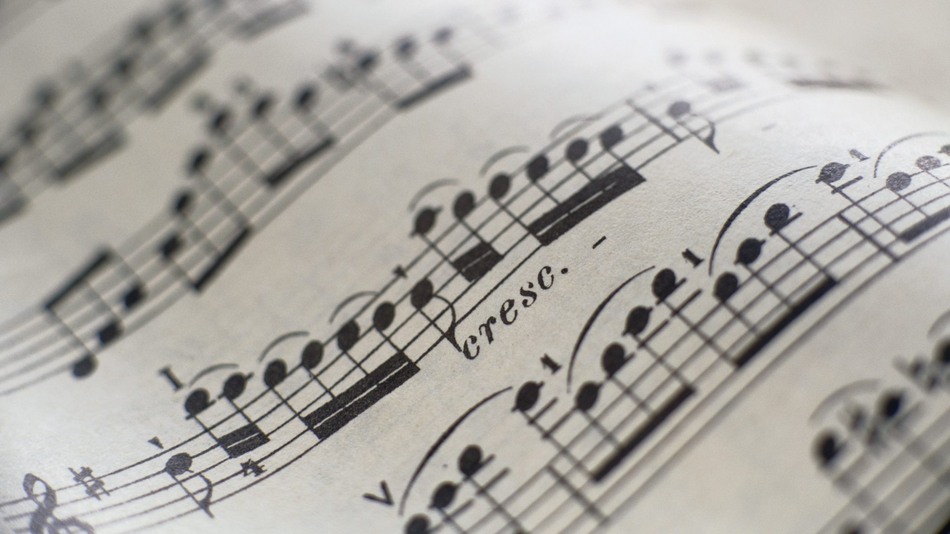 Концерт классической музыки в музее «Кутузовская изба» – события на сайте «Московские Сезоны»