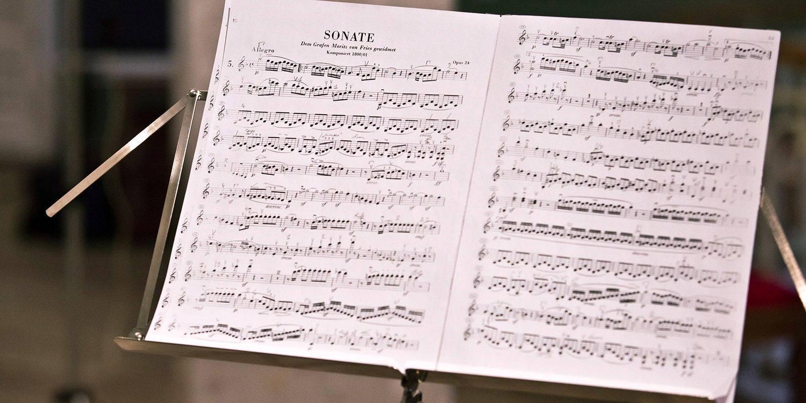 «Магия струн» в Школе акварели Сергея Андрияки – события на сайте «Московские Сезоны»