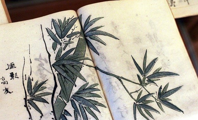 Ботаническая беседа «Растительные образы Китая» – события на сайте «Московские Сезоны»