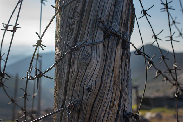 Семинар «Поиск репрессированных родственников. С чего начать?» – события на сайте «Московские Сезоны»