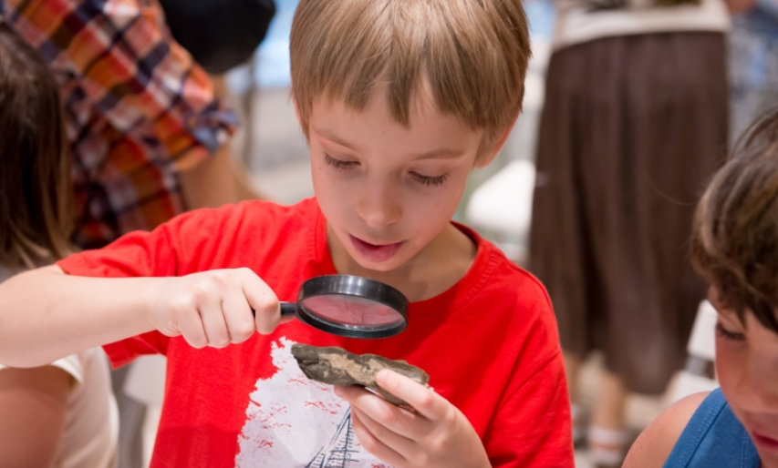 Игровая программа «Ключ к тайнам природы» в библиотеке №32 – события на сайте «Московские Сезоны»