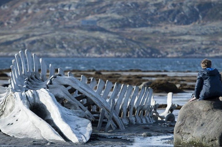 Просмотр и обсуждение фильма «Левиафан» – события на сайте «Московские Сезоны»