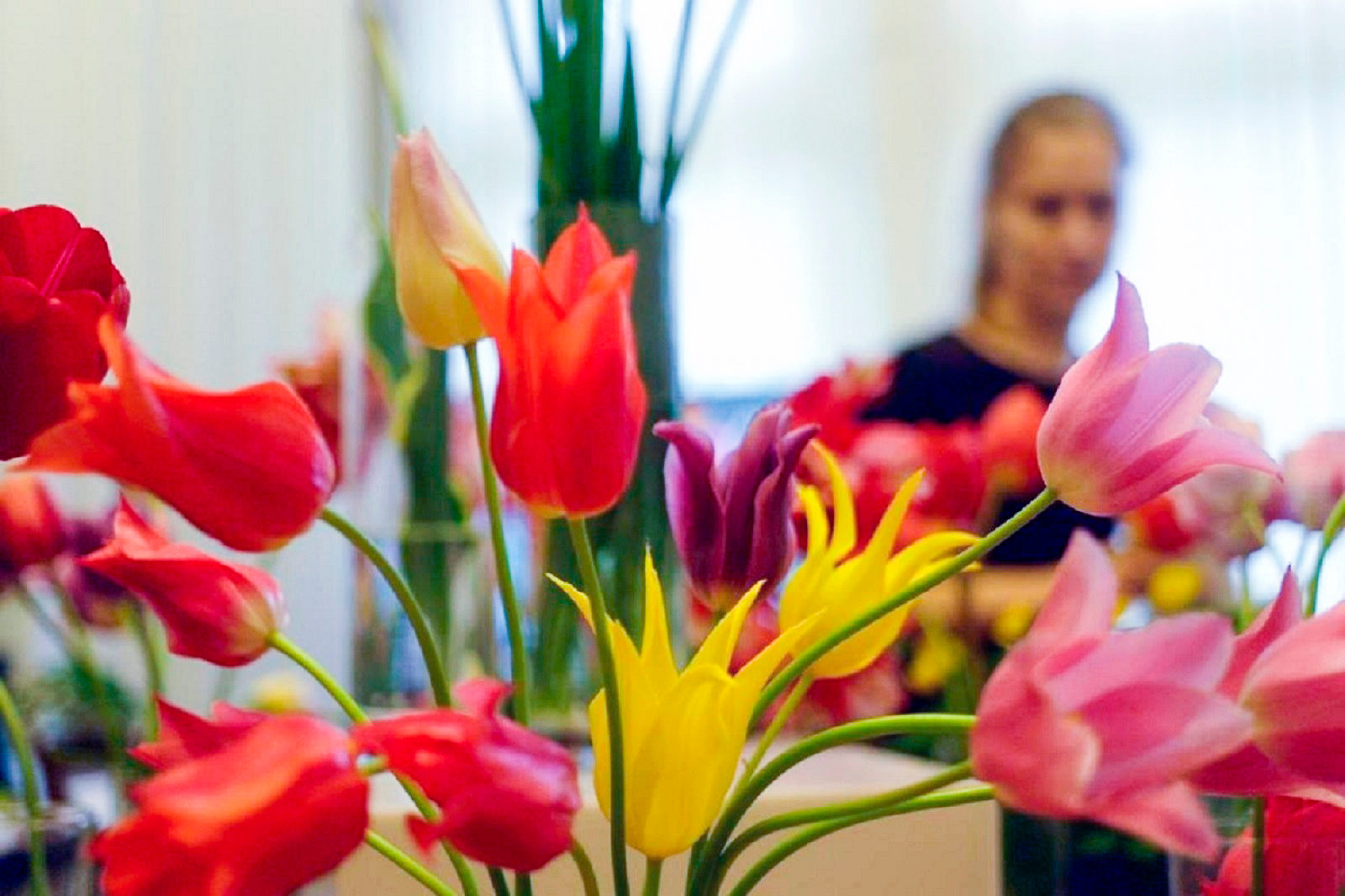 Лекции клуба «Цветоводы Москвы» в Биологическом музее – события на сайте «Московские Сезоны»