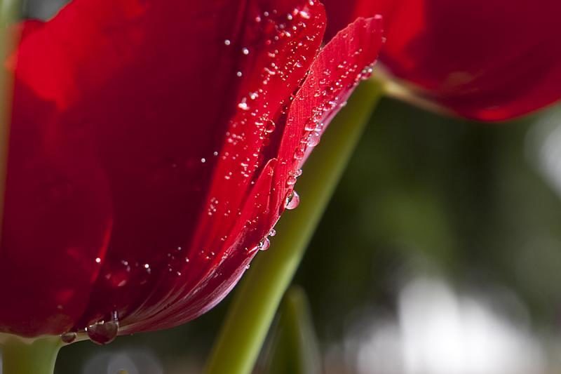 В поселении Марушкинское состоится концерт «Встречая весну» – события на сайте «Московские Сезоны»