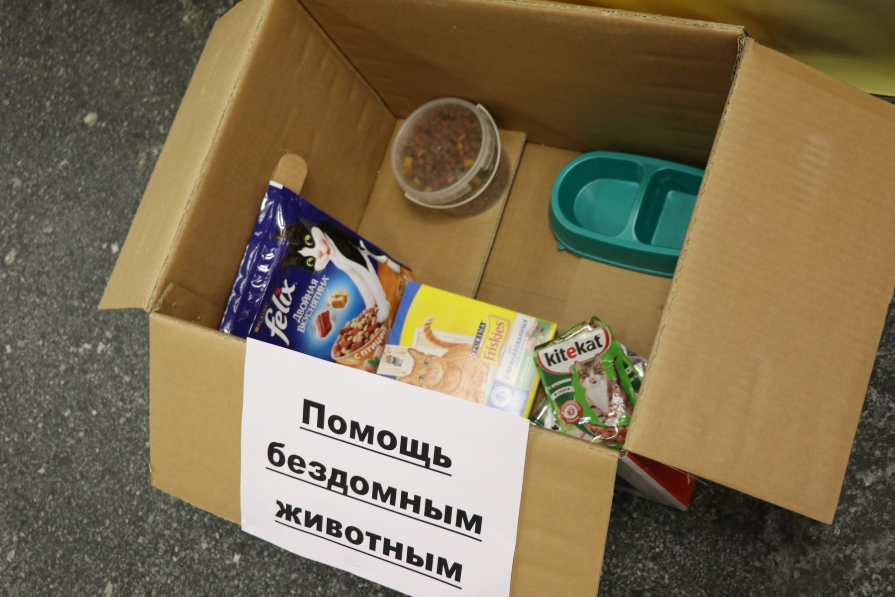 Акция «Годовщина Дня добрых дел» – события на сайте «Московские Сезоны»