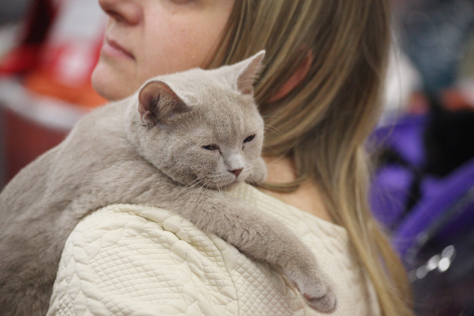 Вакцинация домашних животных против бешенства в Нагорном – события на сайте «Московские Сезоны»