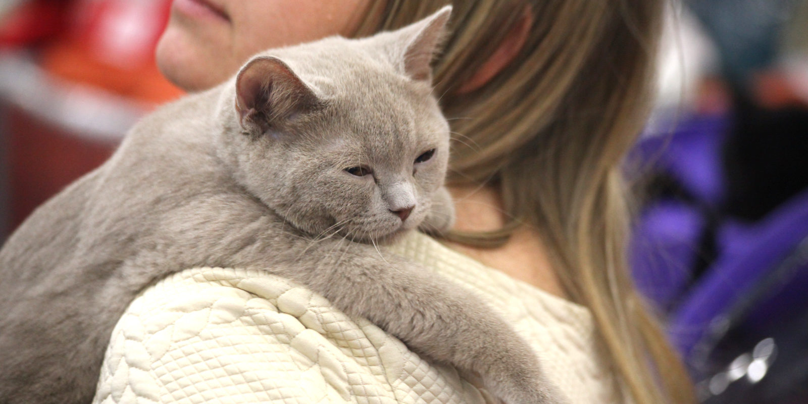 Вакцинация домашних животных против бешенства в поселении Новофедоровском – события на сайте «Московские Сезоны»