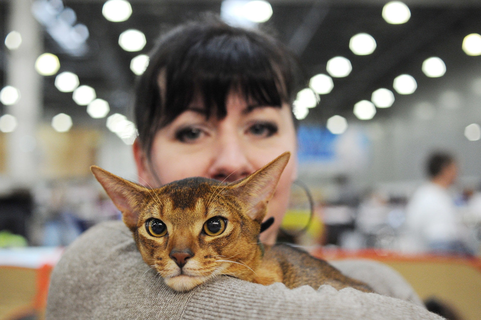 Вакцинация домашних животных против бешенства в поселении Сосенском – события на сайте «Московские Сезоны»