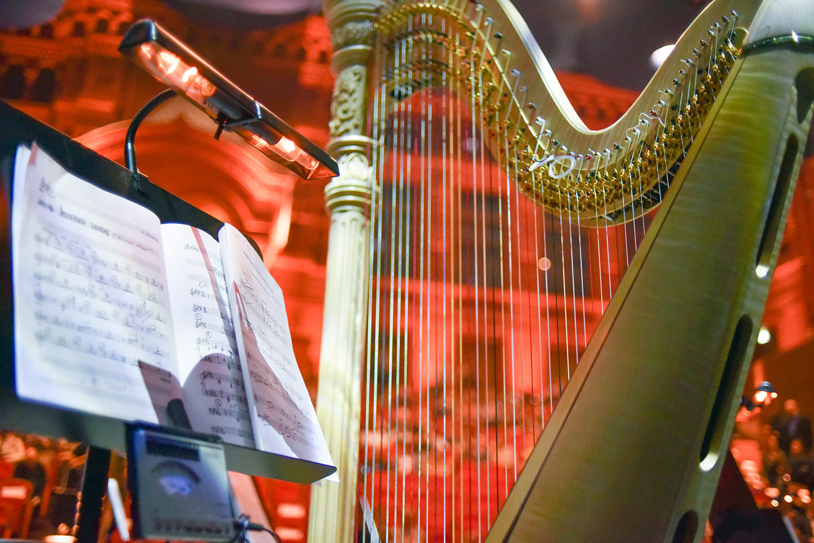 Концерт «Музыкальные сны для арфы» в Музее Москвы – события на сайте «Московские Сезоны»