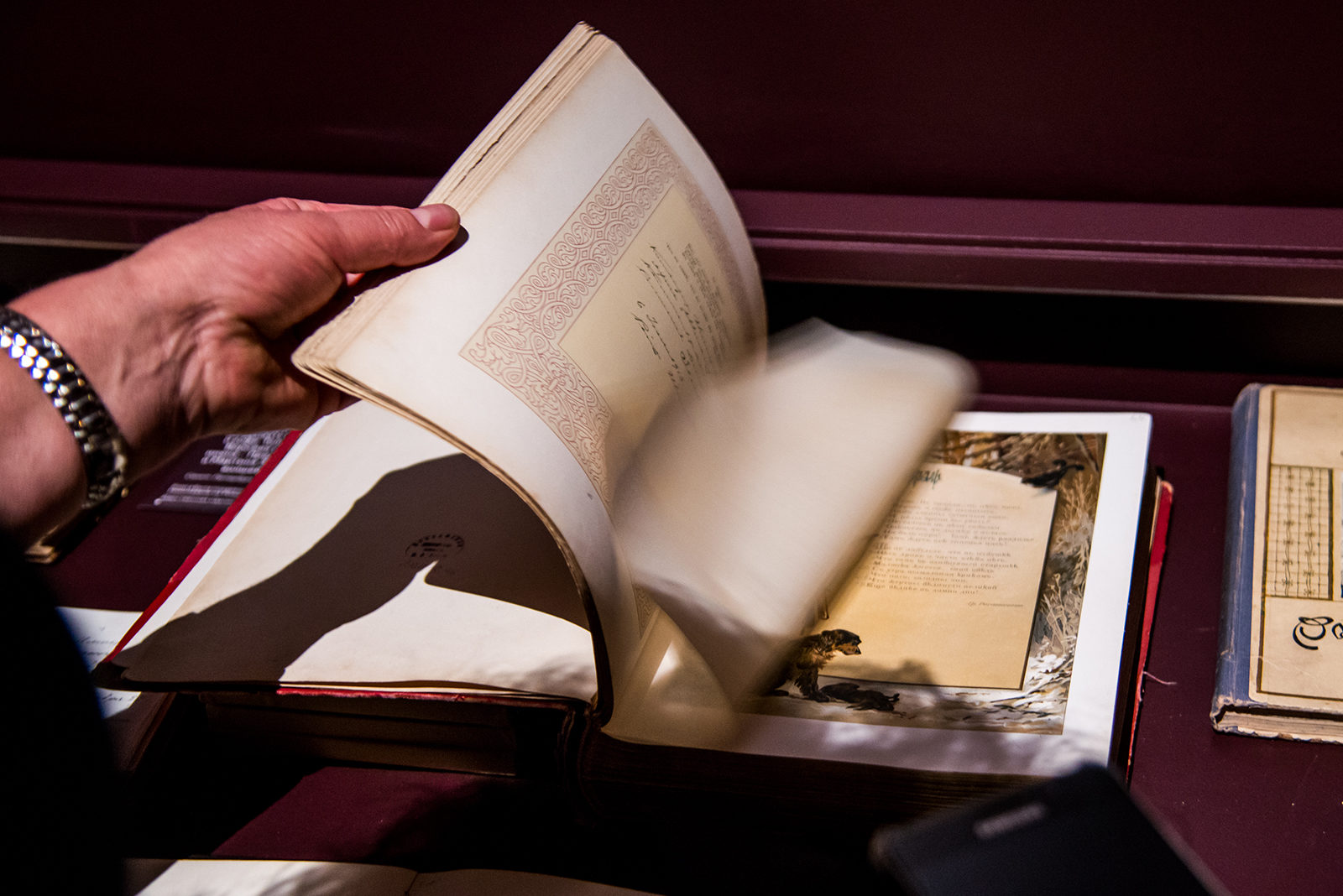 «Книга-оттиск» в парке «Северное Тушино» – события на сайте «Московские Сезоны»