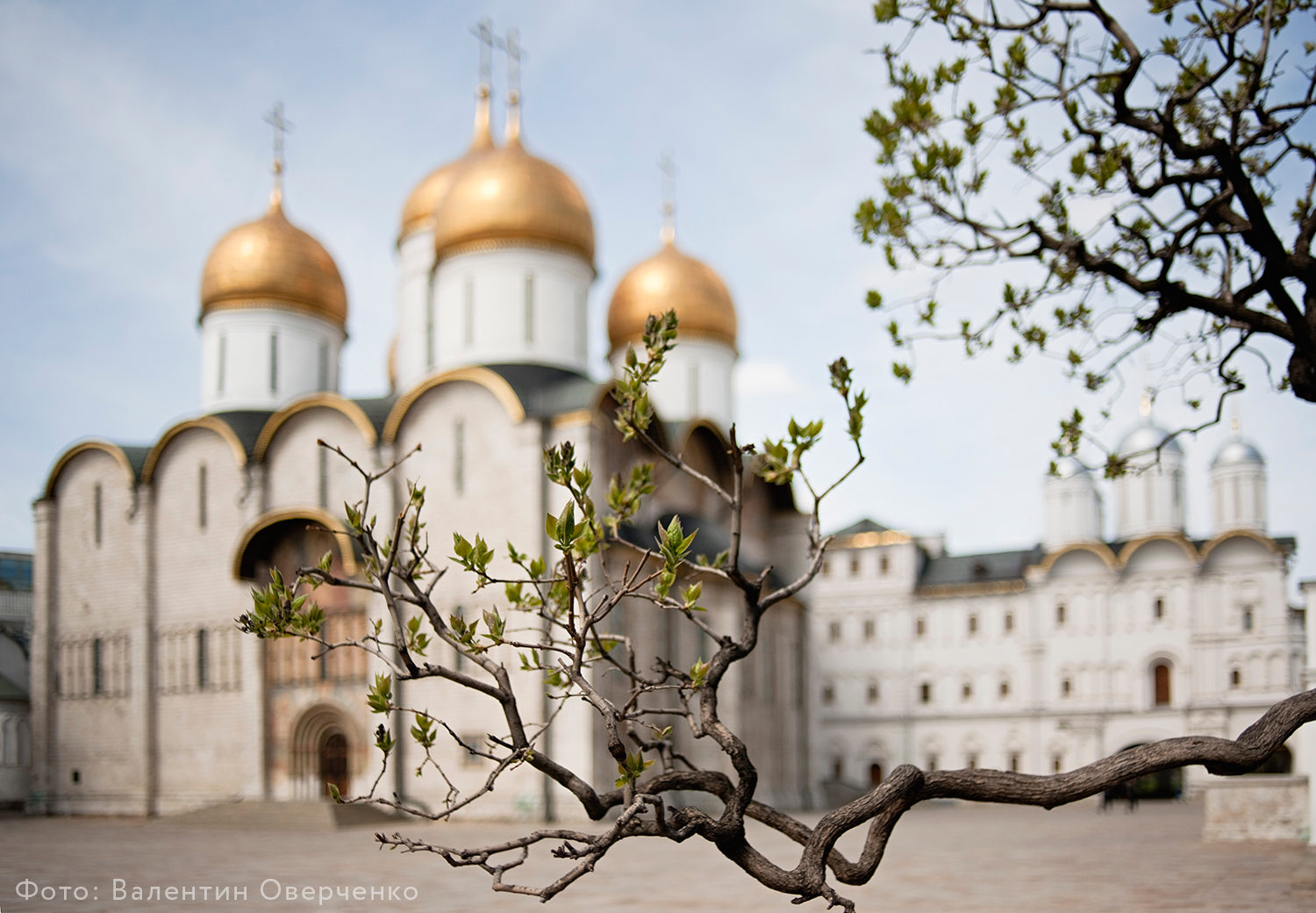 Лекционная программа «Кремлевские соборы» – события на сайте «Московские Сезоны»