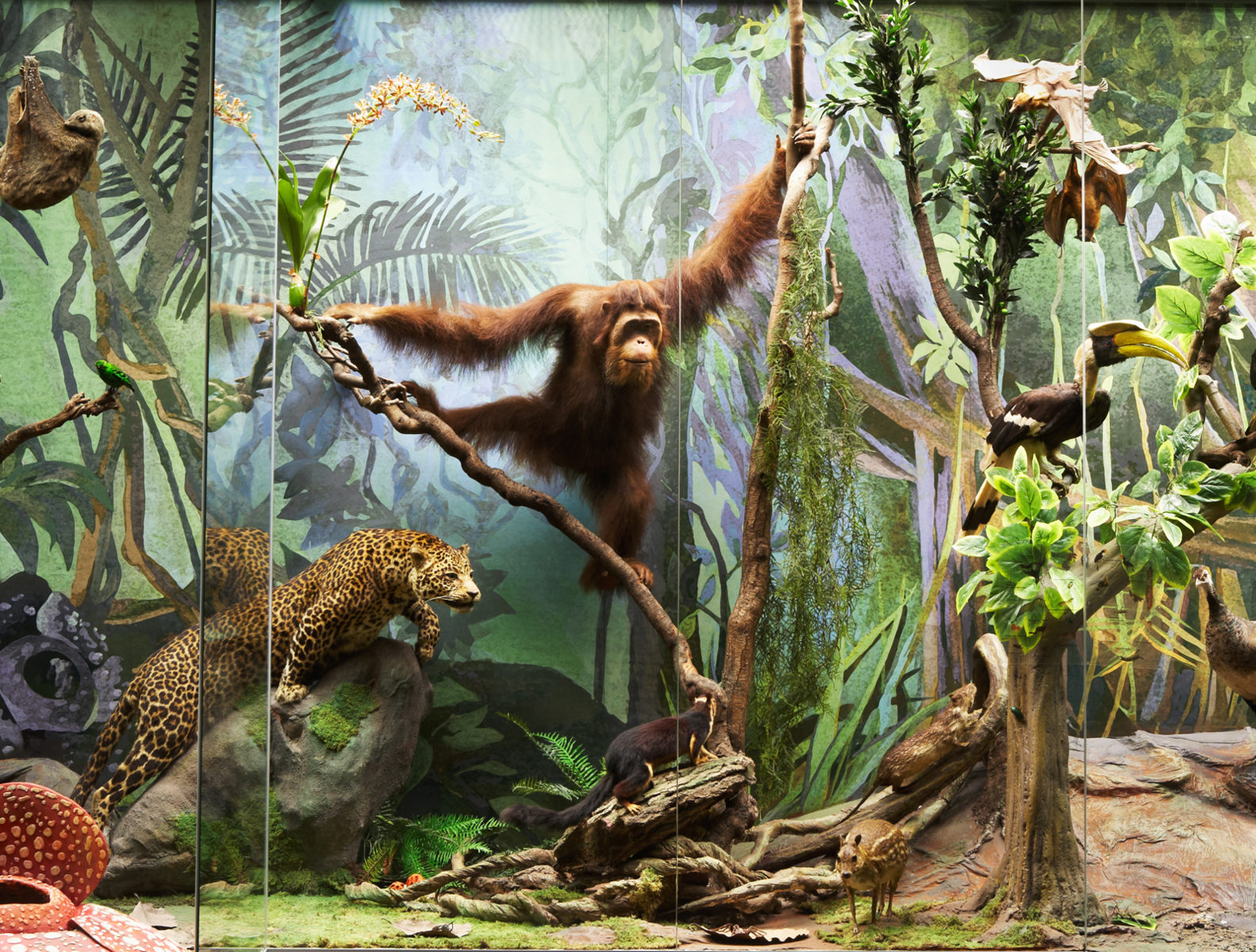 Весенние каникулы в Дарвиновском музее – события на сайте «Московские Сезоны»