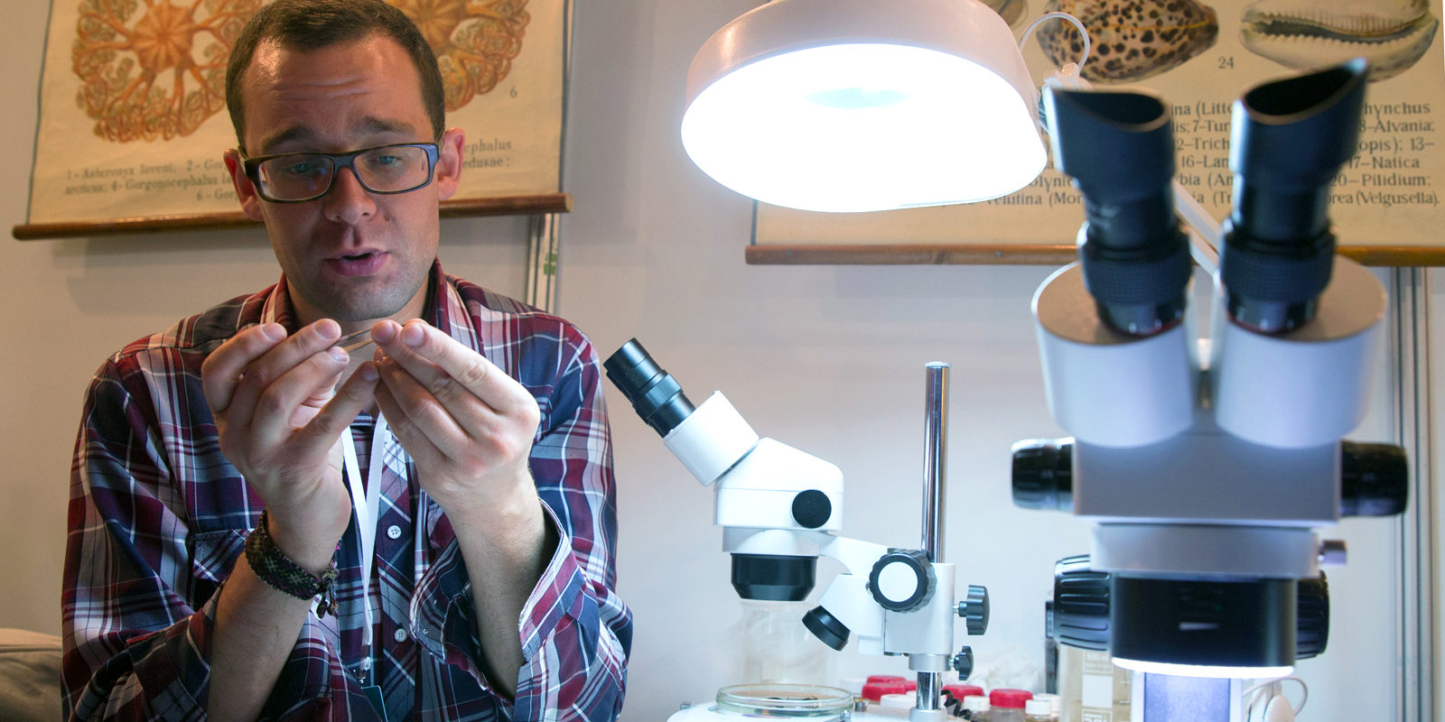 «Супермикробы. Борьба за жизнь» в Биологическом музее – события на сайте «Московские Сезоны»