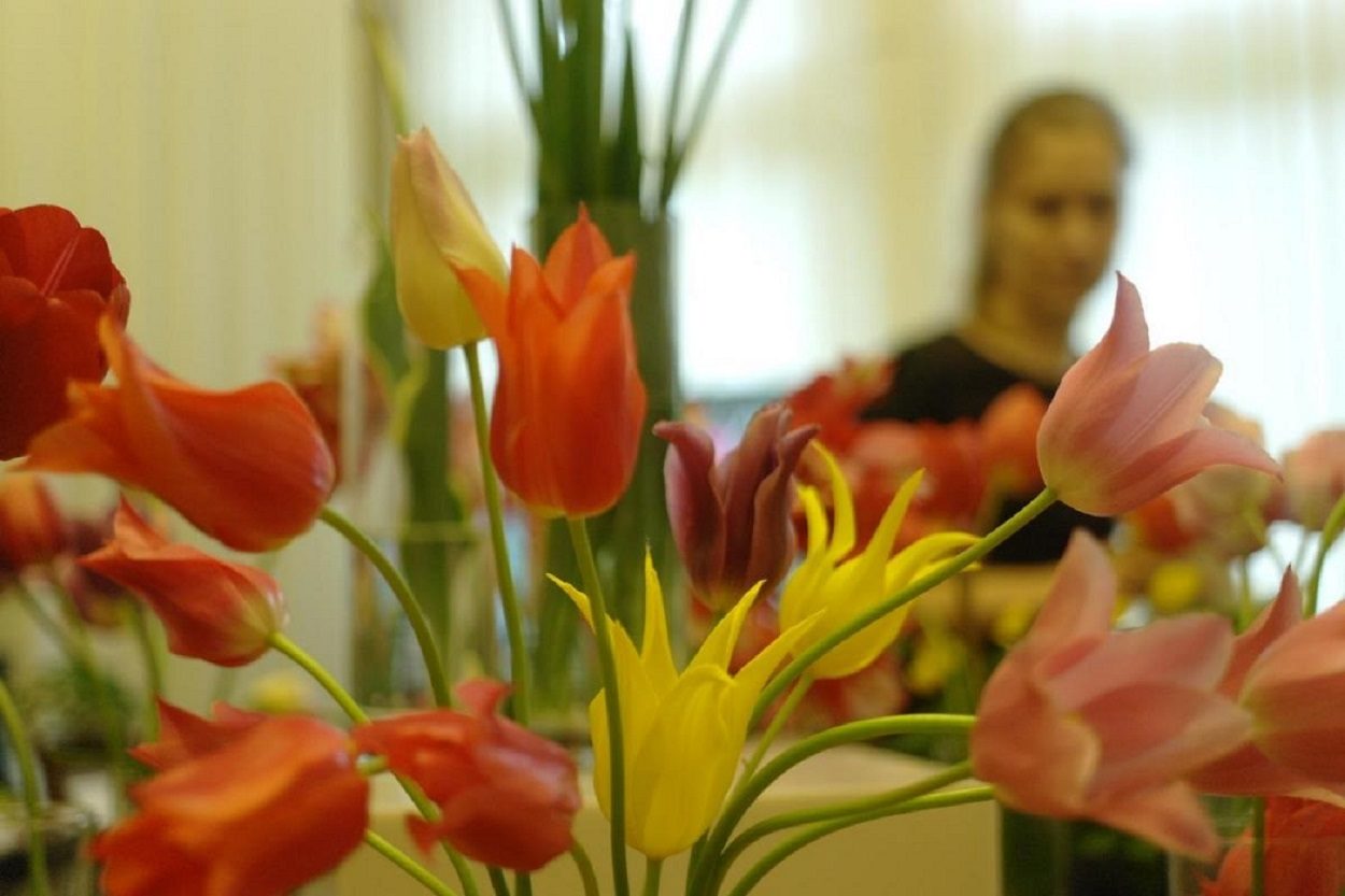 Выставка «Первые цветы весны» – события на сайте «Московские Сезоны»