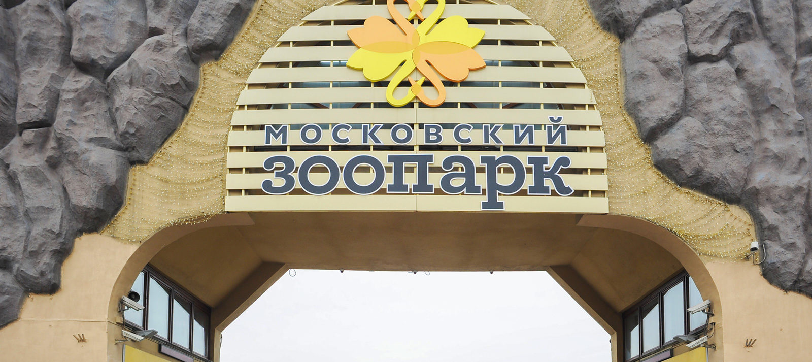«Земля до начала времен» в Московском зоопарке – события на сайте «Московские Сезоны»