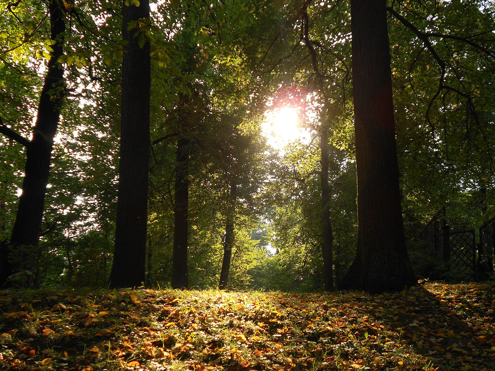 День Земли в музее-усадьбе «Кусково» – события на сайте «Московские Сезоны»