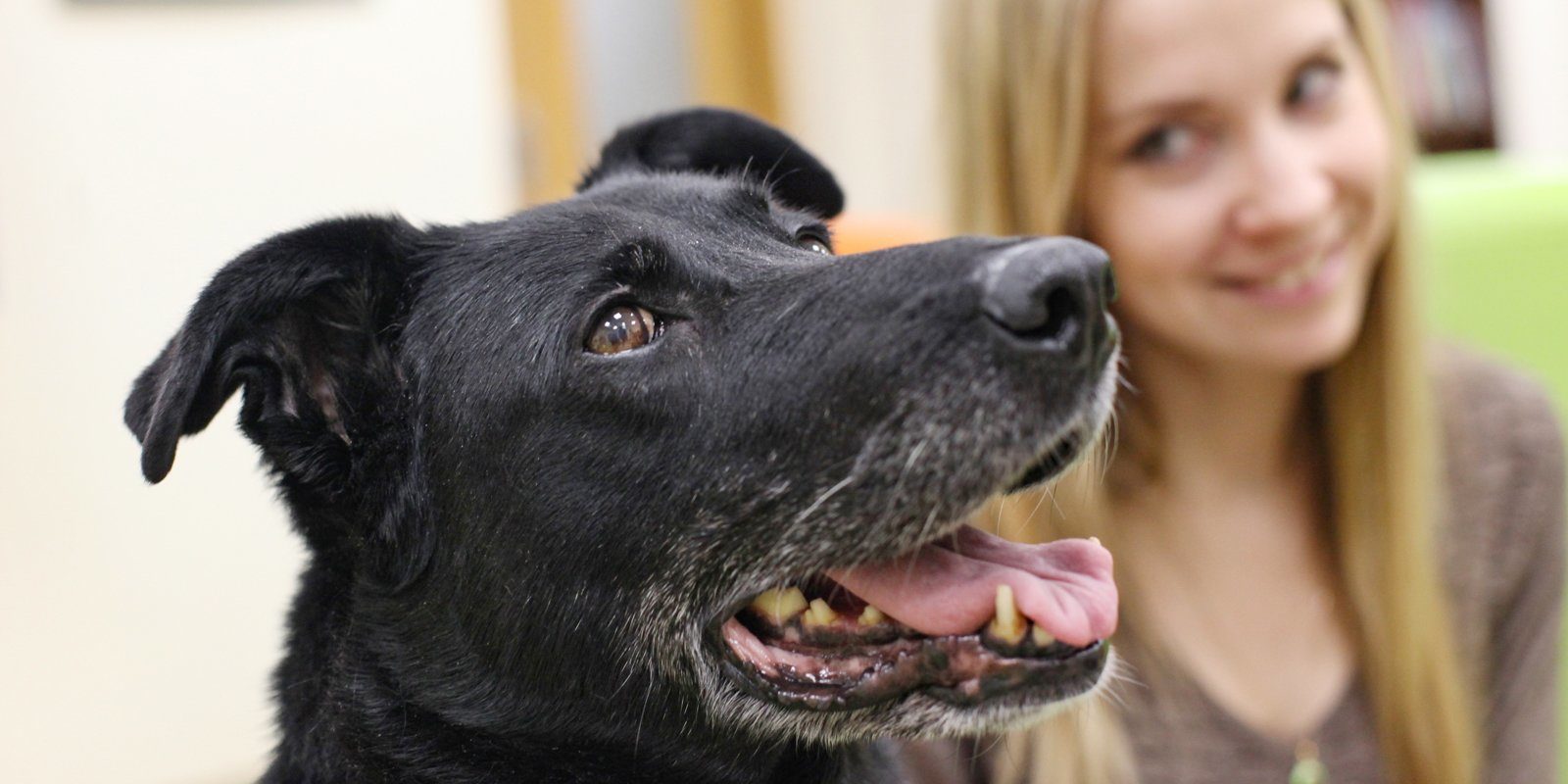 О собаках и детях: лекция кинолога в Северном Тушине – события на сайте «Московские Сезоны»