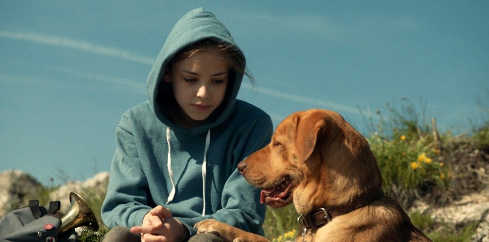 Показ фильма «Белый бог» – события на сайте «Московские Сезоны»