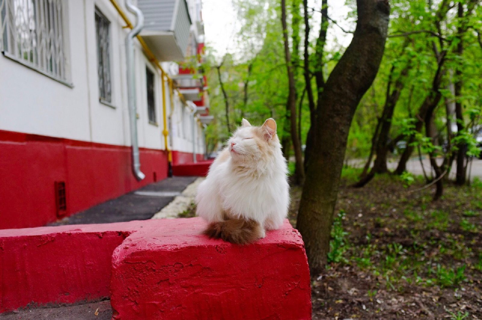 «Оттепель» в библиотеке № 122 имени Александра Грина – события на сайте «Московские Сезоны»