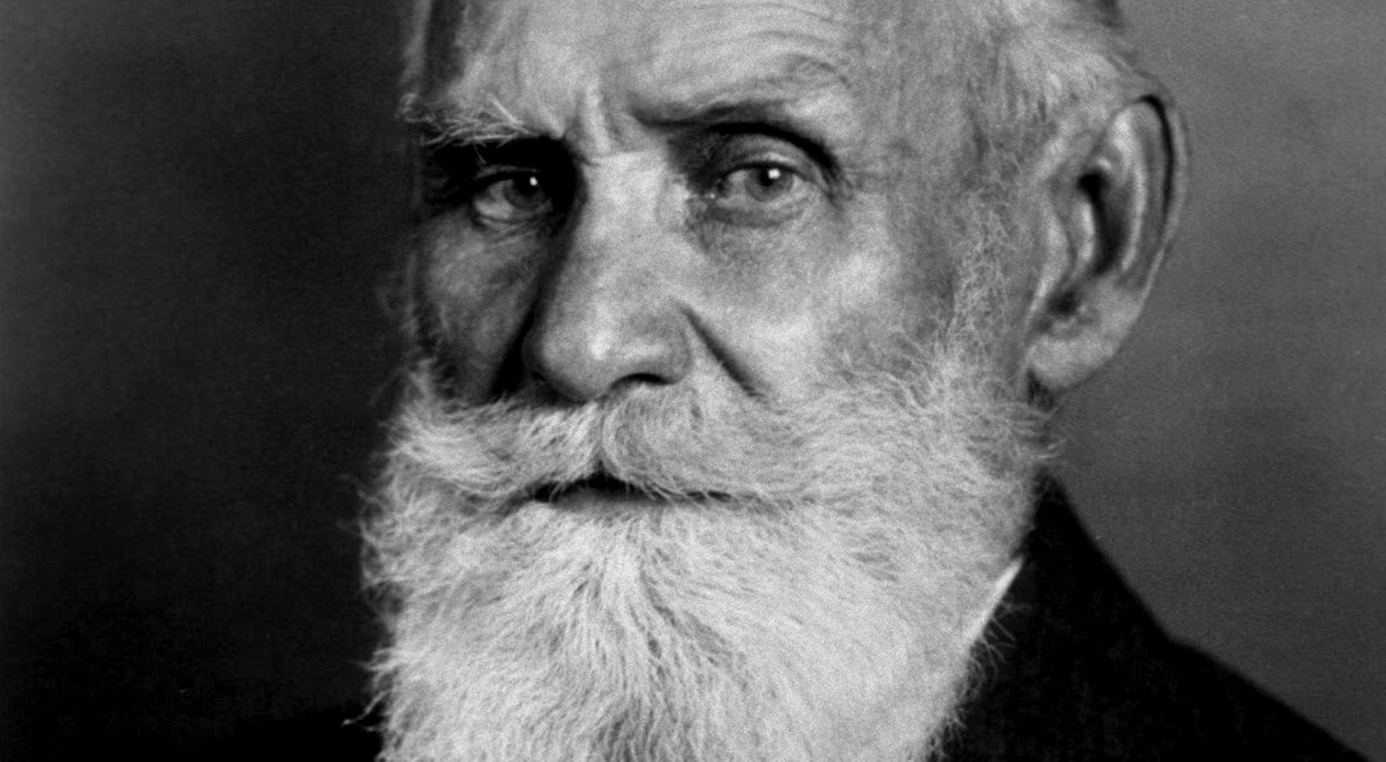 Выставка «Почти как люди» – события на сайте «Московские Сезоны»