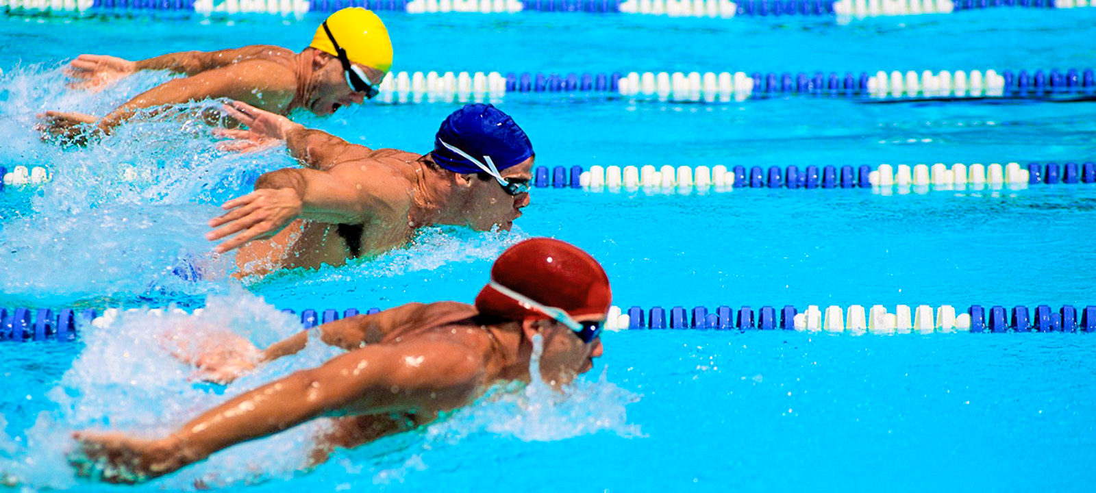 Чемпионат России по плаванию в СК «Олимпийский» – события на сайте «Московские Сезоны»