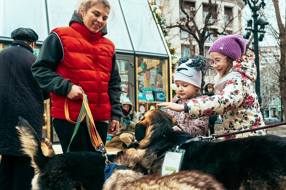 Ветеринарная станция и «Школа груминга» на Тверском бульваре – события на сайте «Московские Сезоны»