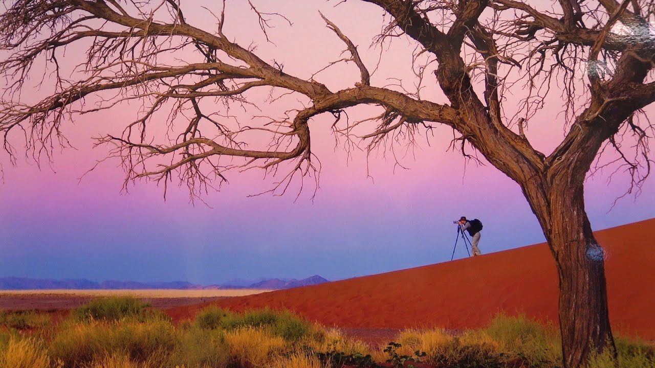 «Библионочь-2019» в Солнцево: лекция и мастер-класс по фотокомпозиции – события на сайте «Московские Сезоны»