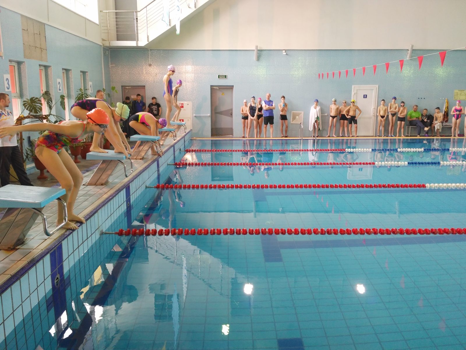 Кубок ЮВАО по плаванию в ФОК «Южнопортовый» – события на сайте «Московские Сезоны»