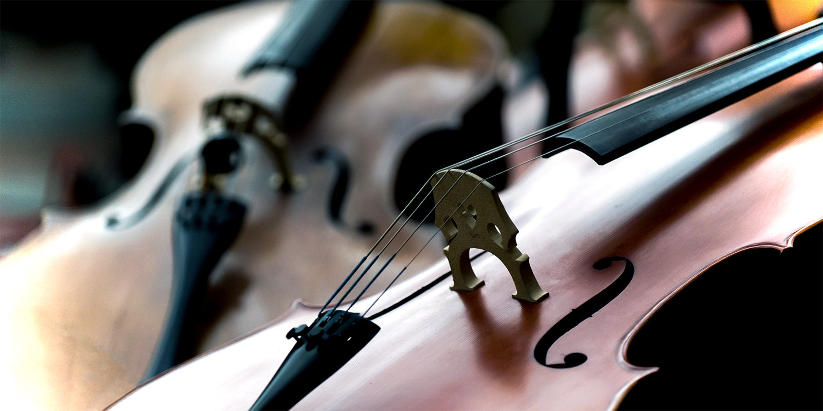 Юбилей камерного оркестра «Времена года» в Доме музыки – события на сайте «Московские Сезоны»