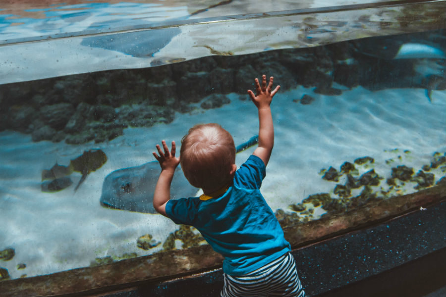 Фестиваль сказок в «Москвариуме»: день четвертый – события на сайте «Московские Сезоны»