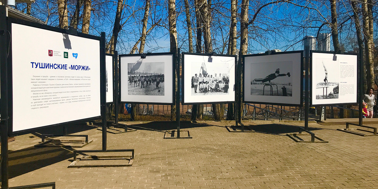 «Тушинские моржи» в парке «Северное Тушино» – события на сайте «Московские Сезоны»