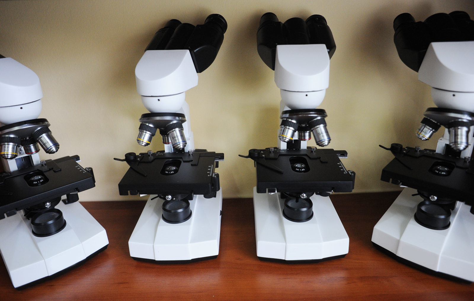 Программа Биологического музея на фестивале «Интермузей» – события на сайте «Московские Сезоны»