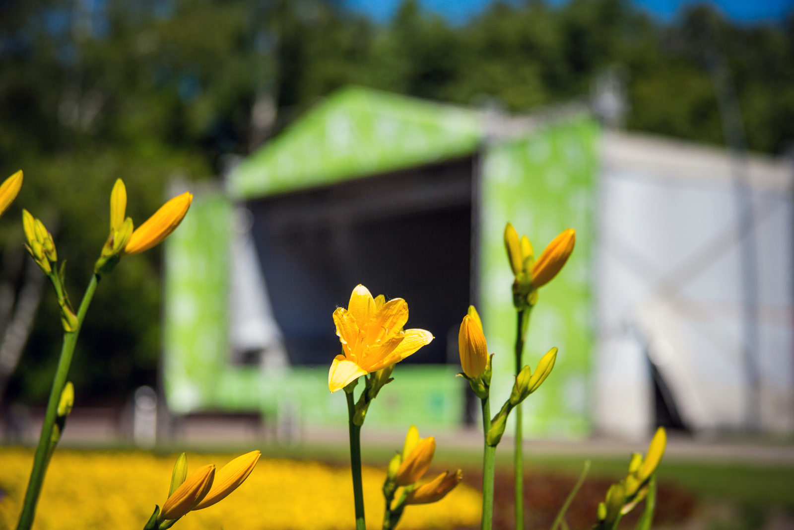 Праздник Весны и Труда в парке «Кузьминки» – события на сайте «Московские Сезоны»