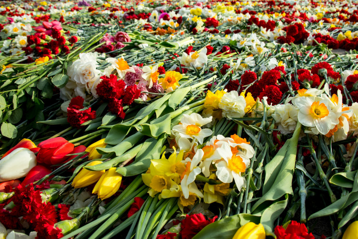 Самые известные песни о войне в «Аптекарском огороде» – события на сайте «Московские Сезоны»