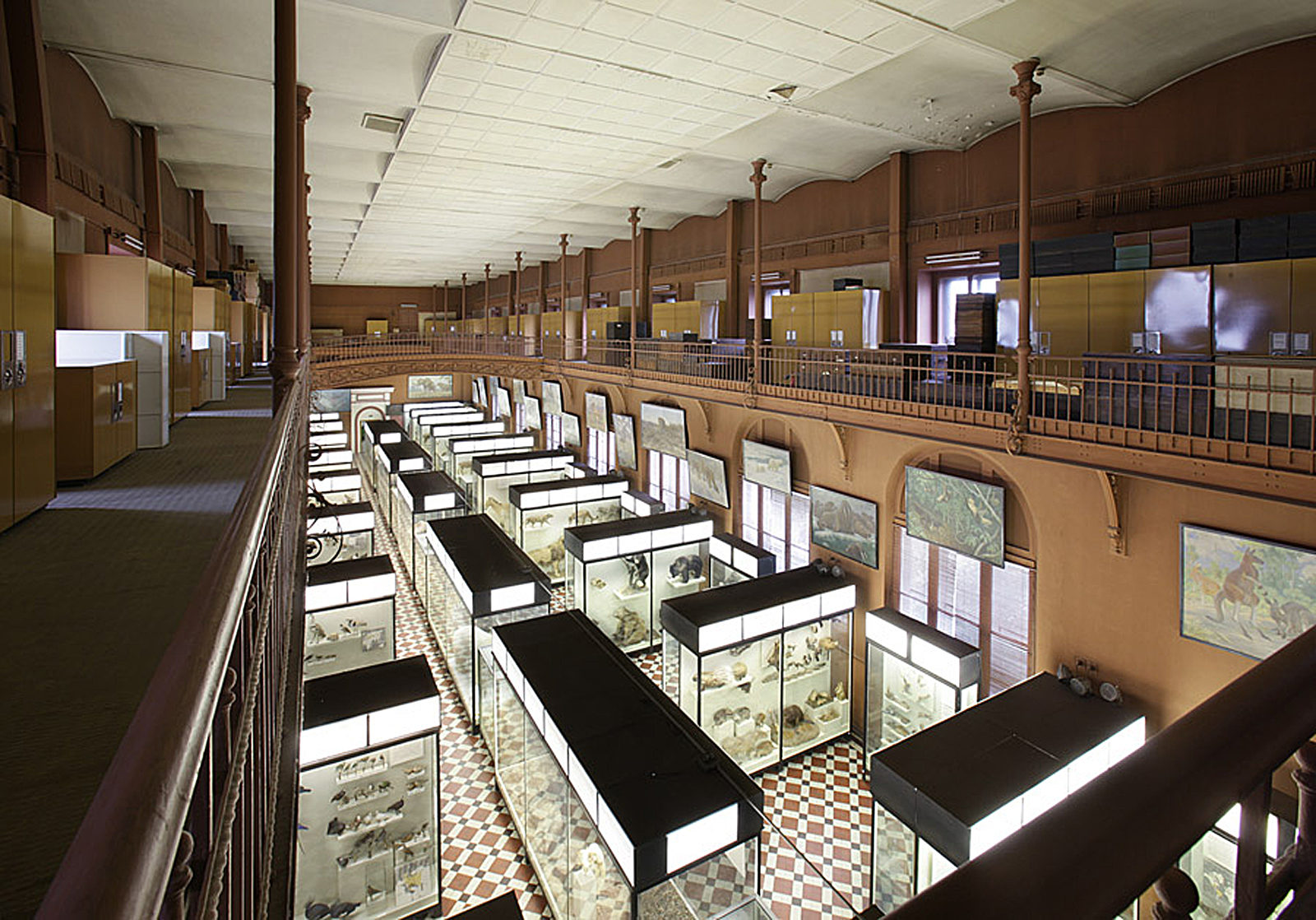 «Звериная ночь» в Зоологическом музее МГУ имени М.В. Ломоносова – события на сайте «Московские Сезоны»