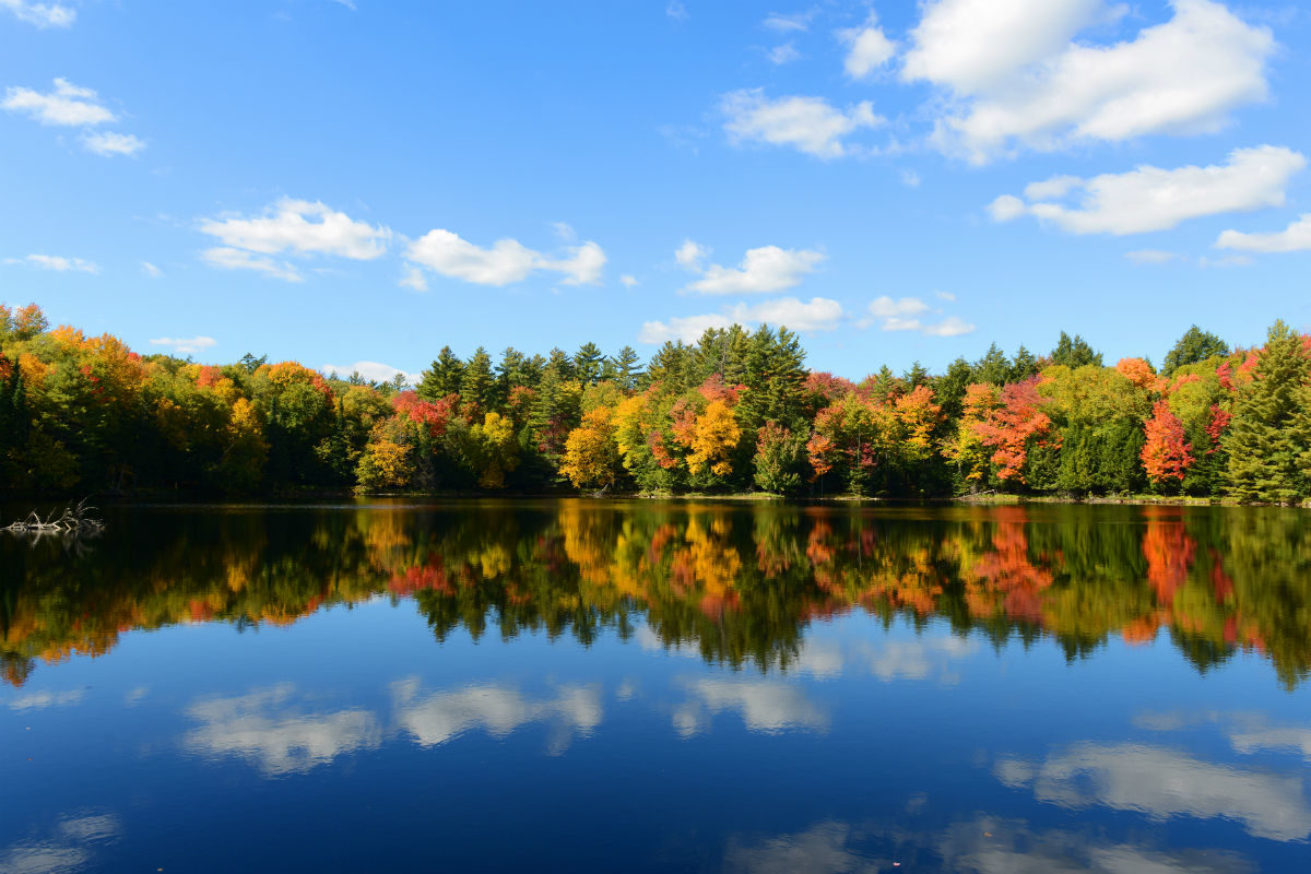«Косинский АкваДуэт»: экскурсия по озерам – события на сайте «Московские Сезоны»
